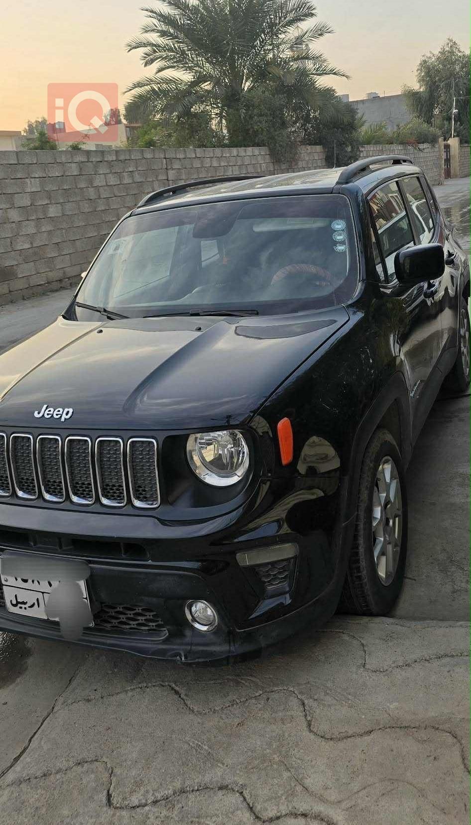 جيب رينيجيد